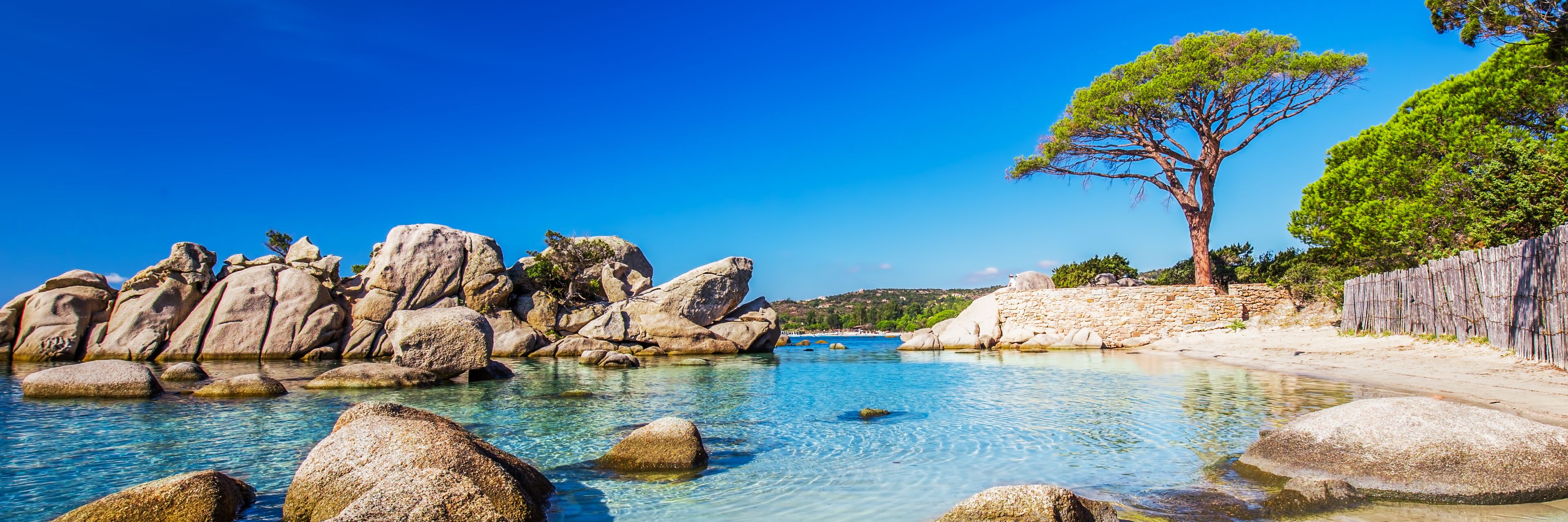A coastal landscape with large boulders in the water, a clear blue sky, and a tree on a rocky outcrop.