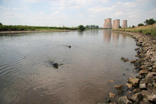 Cooling down Two black labradors and five grey cooling towers on a hot July afternoon by the River Trent.