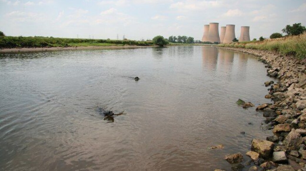Cooling down Two black labradors and five grey cooling towers on a hot July afternoon by the River Trent.