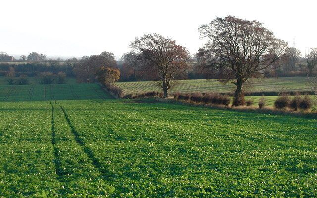 Eppleworth Head Gently rolling farmland south of the public footpath between Gallows Hill and Skidby Windmill. Just northwest of here, a small mound at the top of Gallows Hill is where sheep rustlers were said to have been hung during the reign of Charles II.
