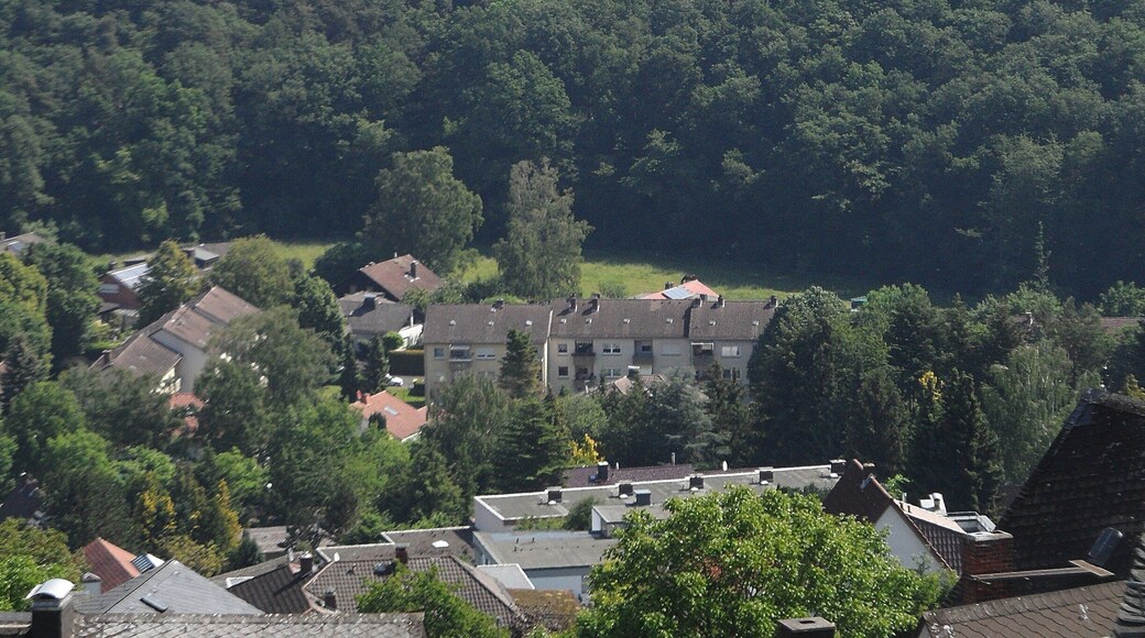 Lollarer Kopf, von Bergfried der ca. 10 km westlich gelegenen Burg Gleiberg; Mai 2018
