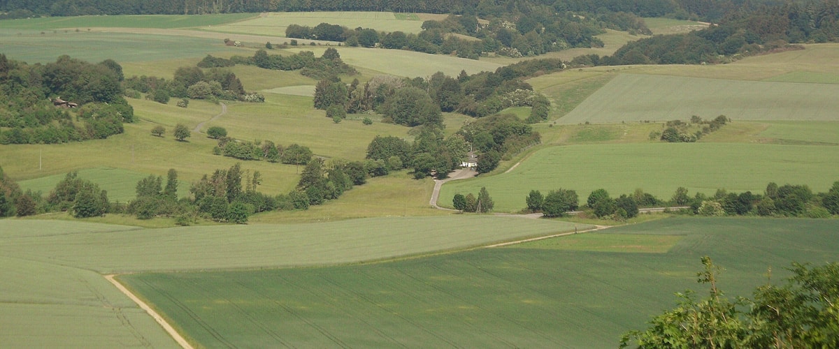A rural landscape with rolling hills, fields, and a wind turbine on a hill.