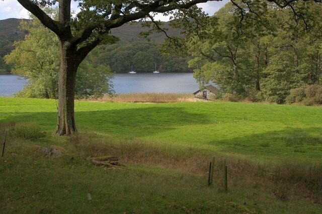 A grassy field with a large tree in the foreground and a lake with boats in the background.