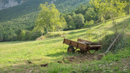 Landscape, field and trailer with some wood near Badaín. Sobrarbe, Aragón, Spain