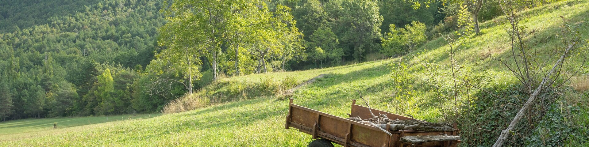 Landscape, field and trailer with some wood near Badaín. Sobrarbe, Aragón, Spain