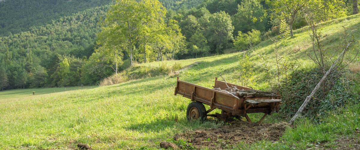 A rural landscape with a wooden cart on a grassy slope, surrounded by trees and mountains.