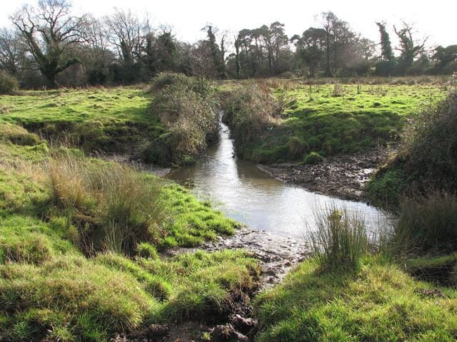 Confluence of two drains In a pasture by Lower Clipstone. No livestock grazes this pasture in mid-January but the imprints of cattle hooves can be seen in the mud beside the drain.