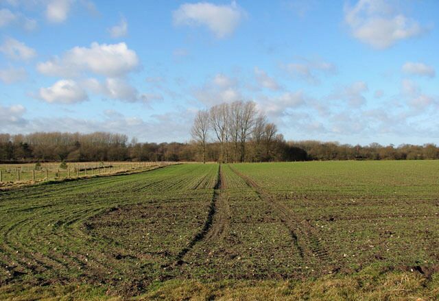 Tractor track Into a field. The trees in the far distance (in adjacent grid square to the west) denote the course of the dismantled trackbed of the railway that once connected Melton Constable with Fakenham.