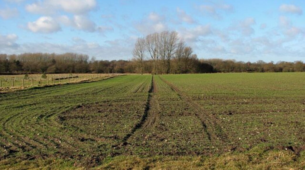 Tractor track Into a field. The trees in the far distance (in adjacent grid square to the west) denote the course of the dismantled trackbed of the railway that once connected Melton Constable with Fakenham.