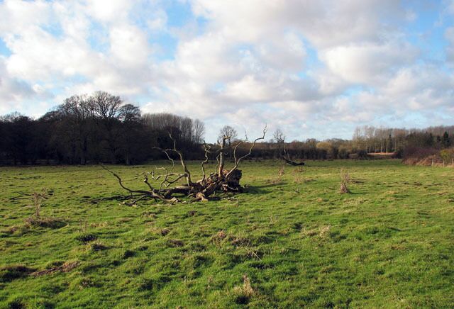 Empty pasture At Lower Clipstone. No livestock is grazing this pasture in mid-January.