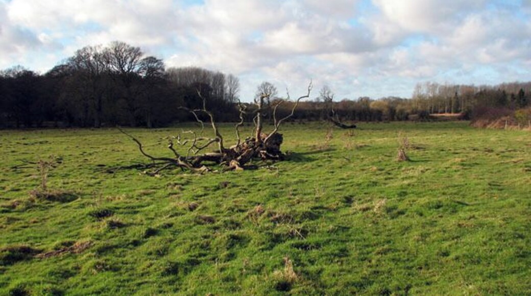 Empty pasture At Lower Clipstone. No livestock is grazing this pasture in mid-January.