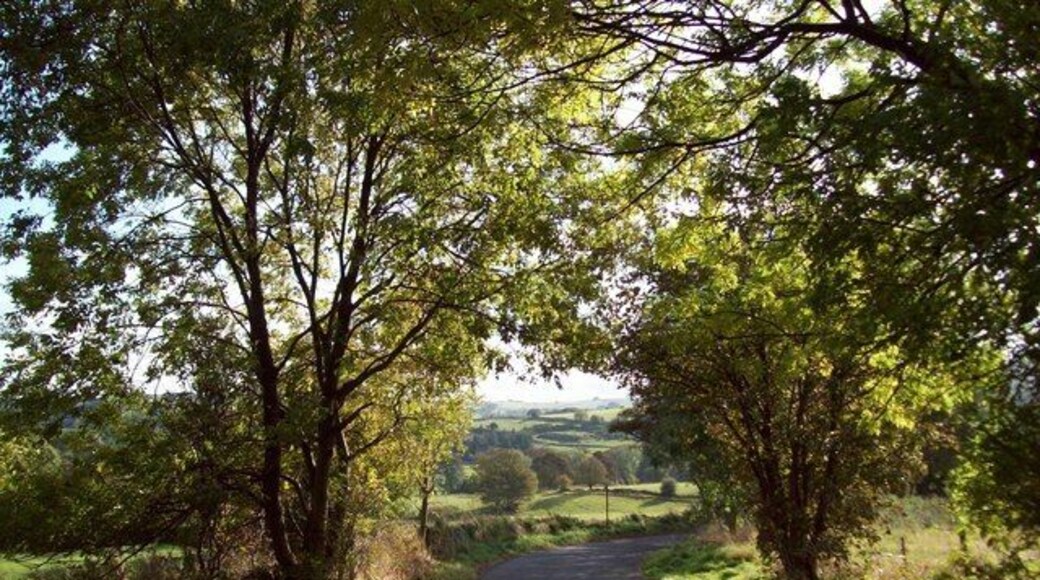Shorts Lane near Dore Public byway to the west of Dore which also forms part of the Peak District National Park boundary. This picture was taken on a mild and mainly sunny afternoon in mid October.