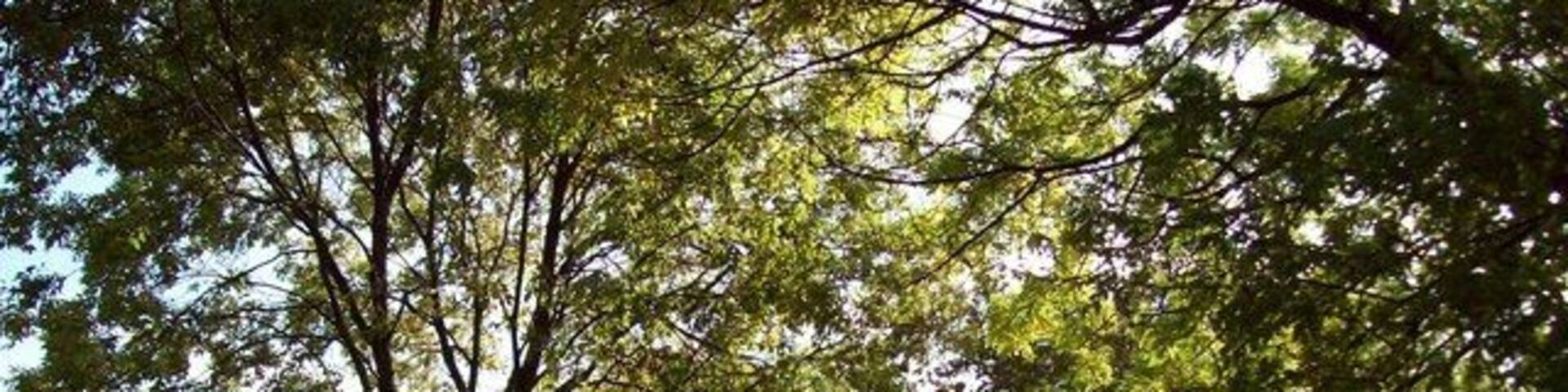 Shorts Lane near Dore Public byway to the west of Dore which also forms part of the Peak District National Park boundary. This picture was taken on a mild and mainly sunny afternoon in mid October.