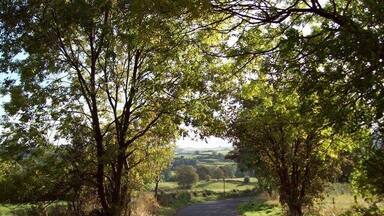 Uma estrada rural ladeada por árvores que leva a um vale.