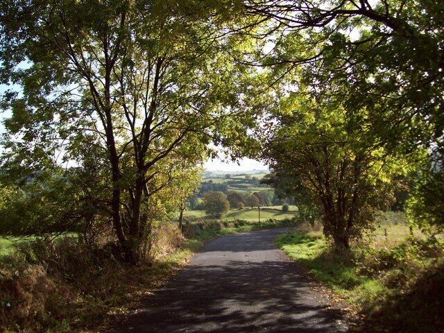A rural road flanked by trees leading to a valley.