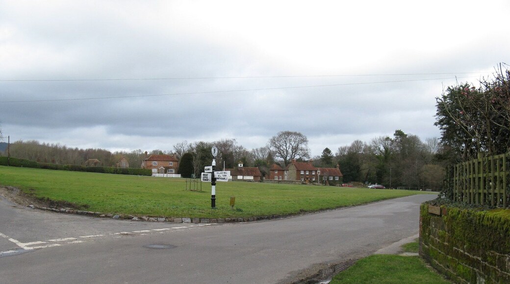 The village green at Lurgashall