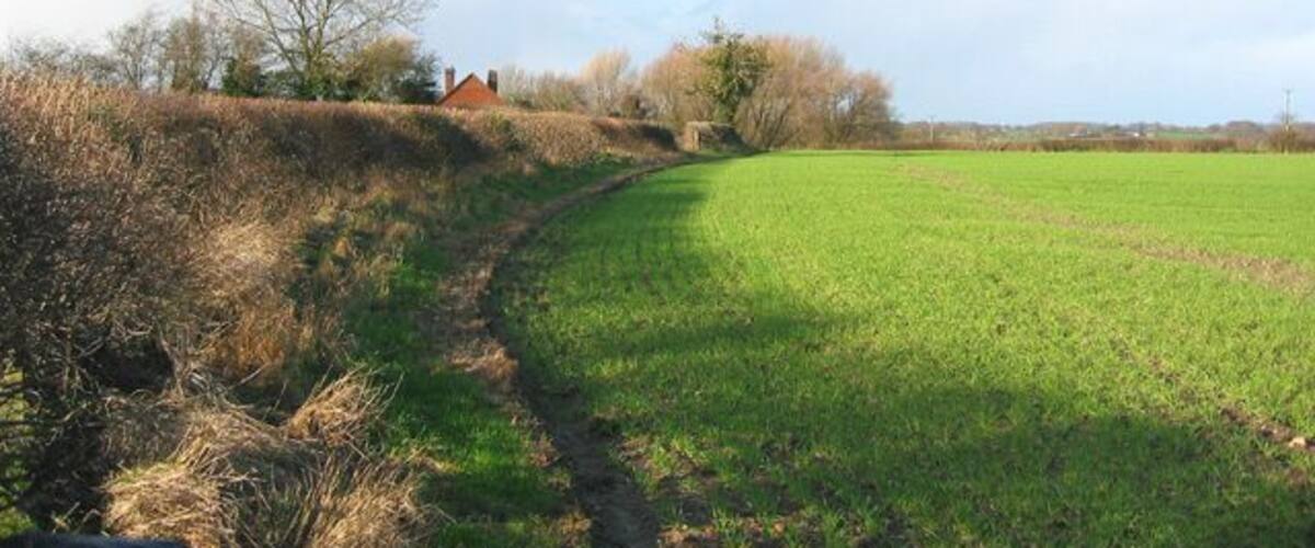 A rural landscape with a grassy field, a dirt path, and a red building in the distance.