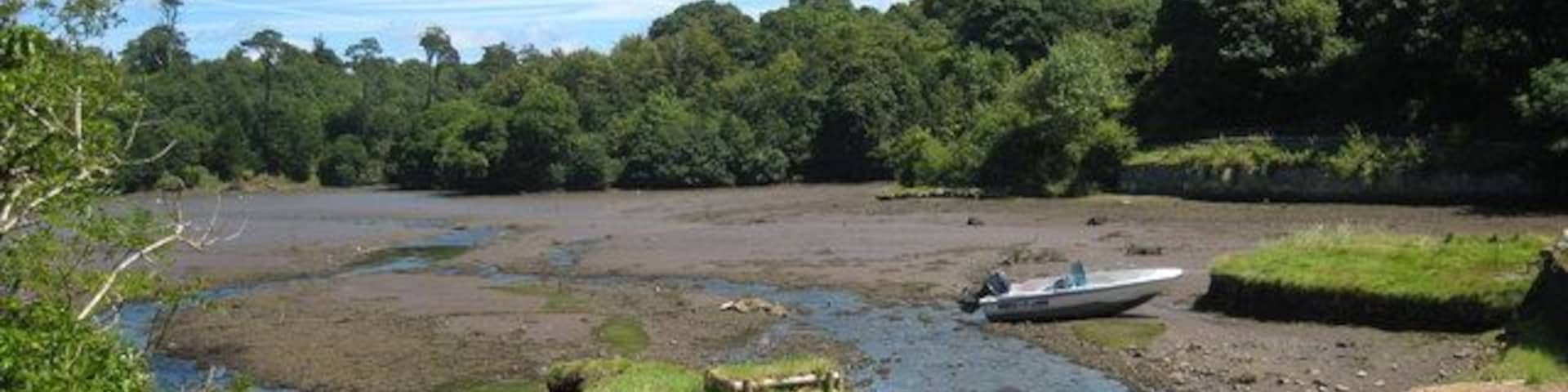 Orilla de río con un bote, exuberante vegetación y cielo despejado.