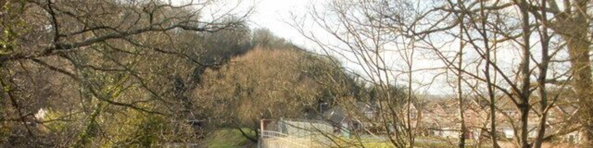 Afon Lwyd upstream from Caerleon Road, Ponthir Looking west along the Afon Lwyd. On the right are houses in Barnfield.