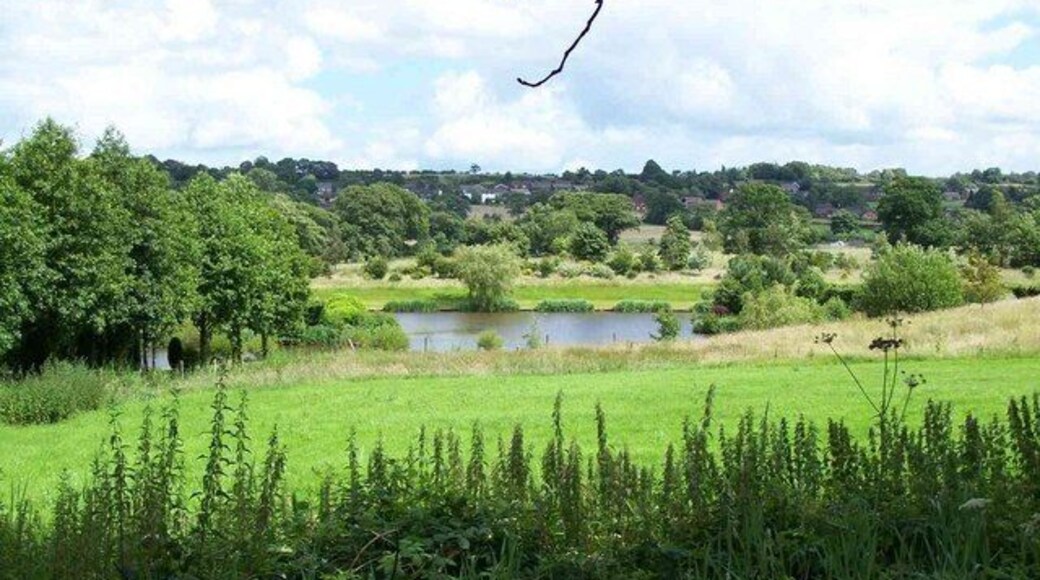 Mill Lake, Wetley Rocks