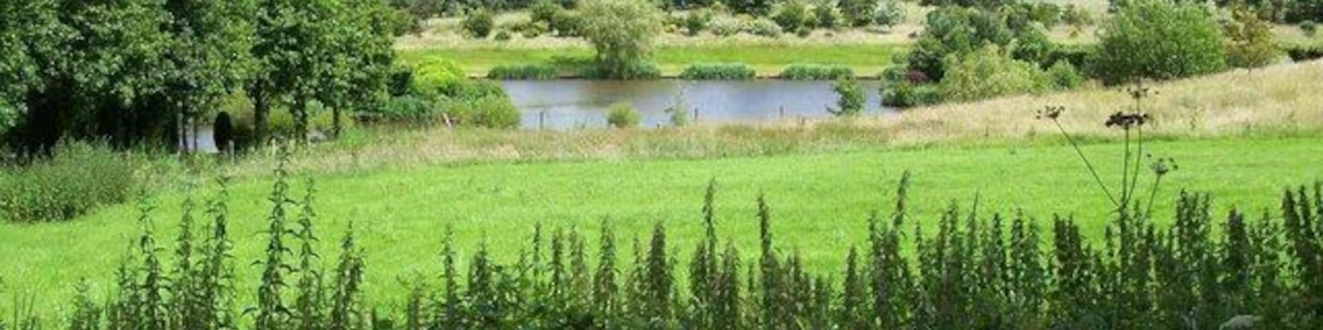 Mill Lake, Wetley Rocks