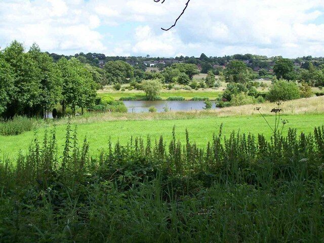 A grassy field with a pond and trees in the background.