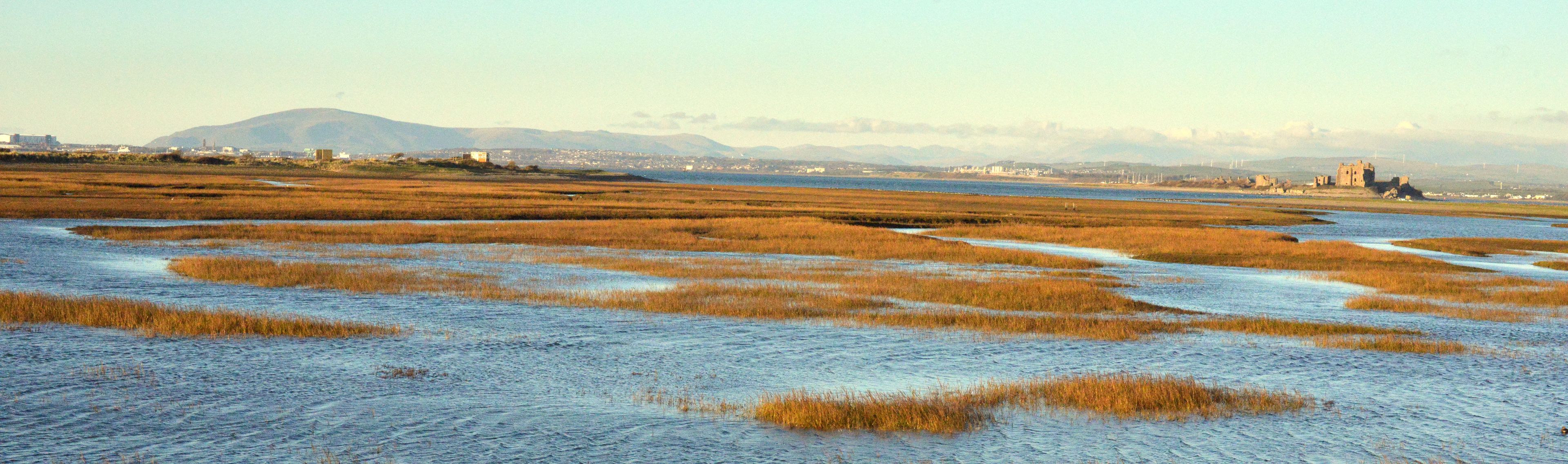 A coastal landscape with a mix of water and marshland, distant mountains, and a few buildings.