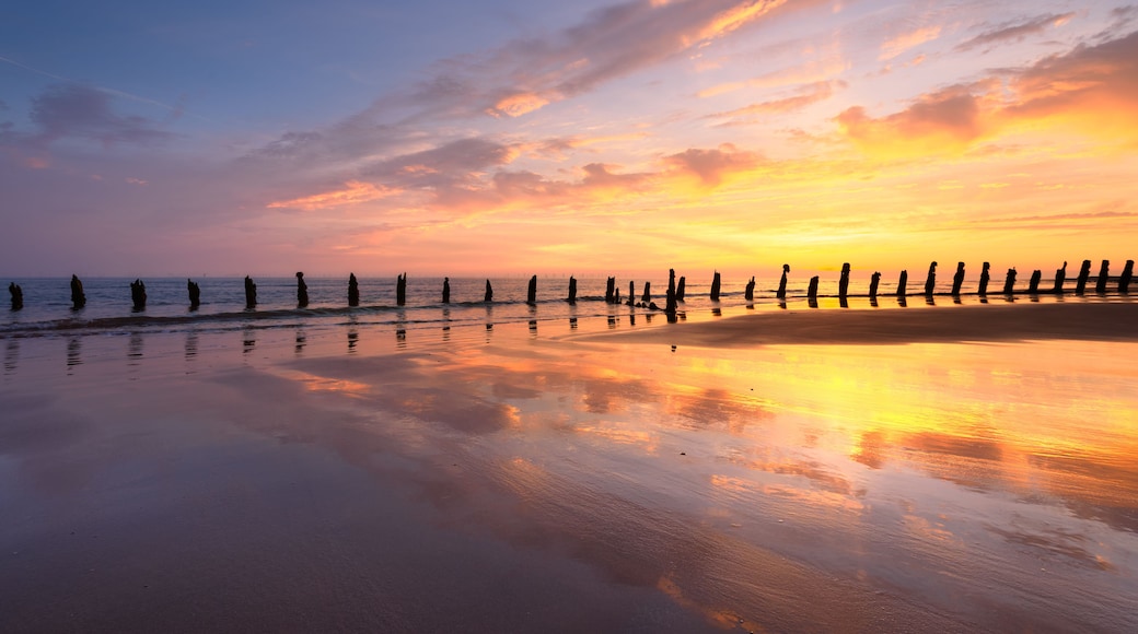 A beach at sunset with a row of wooden posts and a calm sea.