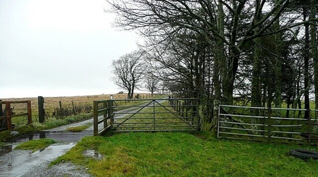 Cattle grid at Round Bank One of many cattle grids in the area. Most of the roads are fenced on one side, and the grids seem to be to stop animals wandering from one farm to another. This road is on the Churchtown Hill plateau heading towards Edenhope Hill.
