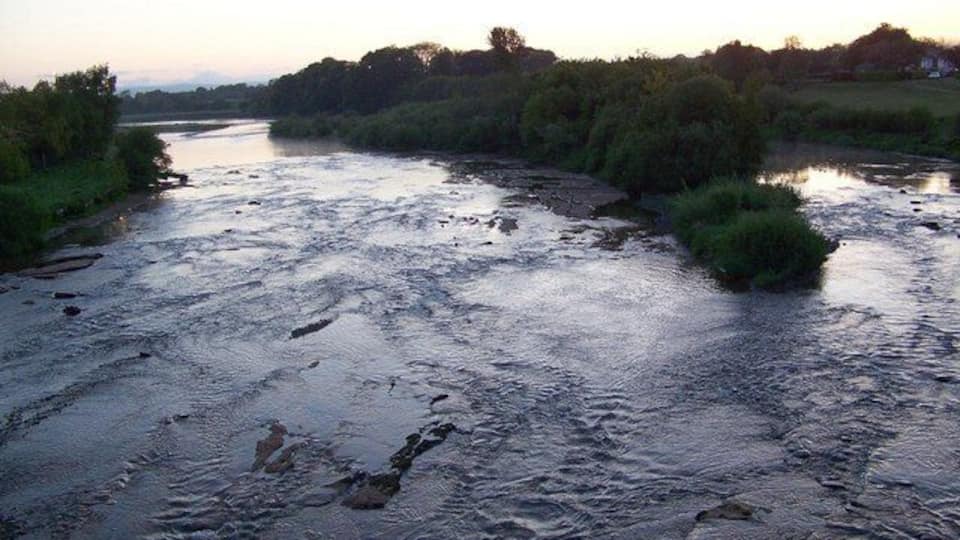 A river with visible rapids and surrounding greenery.