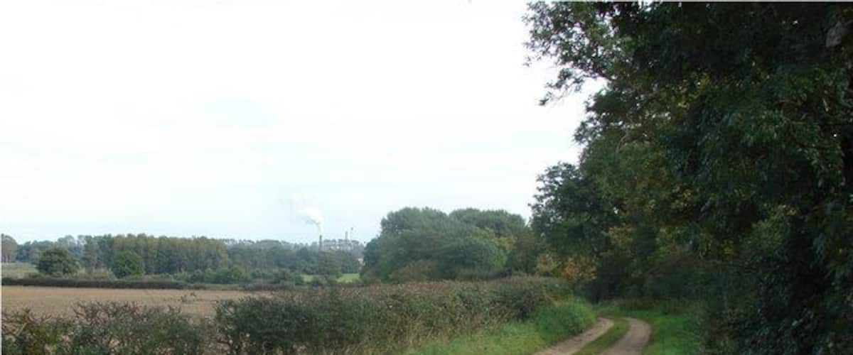 Sandy Lane, Hilgay View east: The Wissington sugarbeet factory can be seen on the horizon
