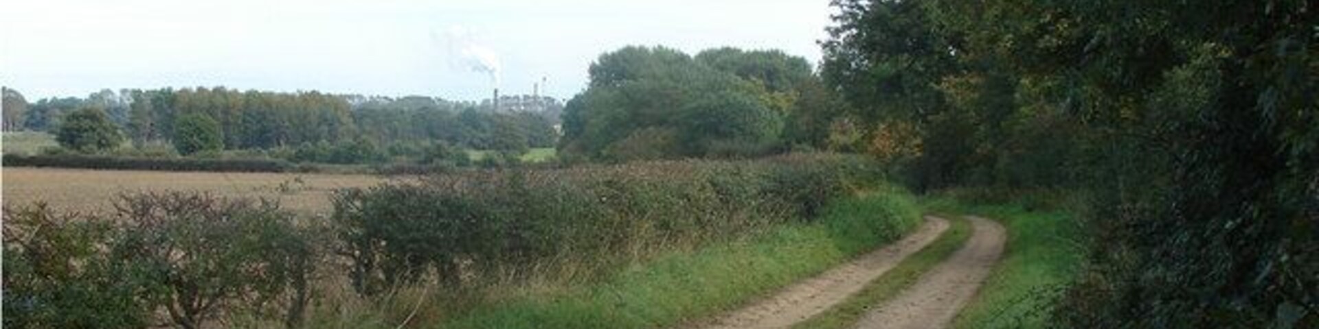 Sandy Lane, Hilgay View east: The Wissington sugarbeet factory can be seen on the horizon