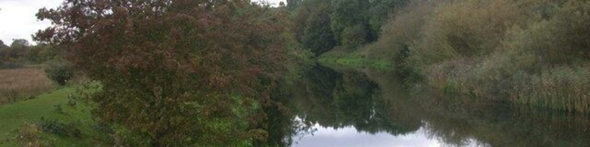 Calm day on the River Wissey