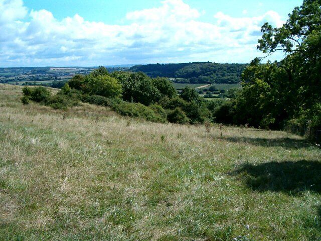 Eastfield Local Nature Reserve. The reserve comprises 18 acres of unimproved grassland with scrub and trees. Because no fertilisers have been used, the soils are not very fertile and with constant grazing, the turf is particularly herb-rich. The reserve is in the care of South Somerset District Council. www.southsomerset.gov.uk