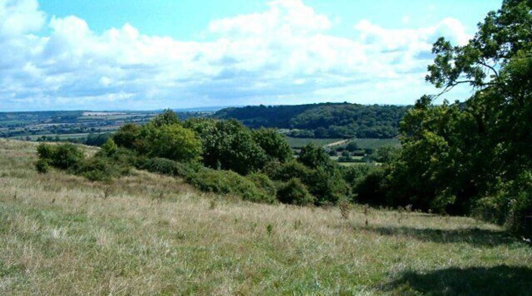 Eastfield Local Nature Reserve. The reserve comprises 18 acres of unimproved grassland with scrub and trees. Because no fertilisers have been used, the soils are not very fertile and with constant grazing, the turf is particularly herb-rich. The reserve is in the care of South Somerset District Council. www.southsomerset.gov.uk