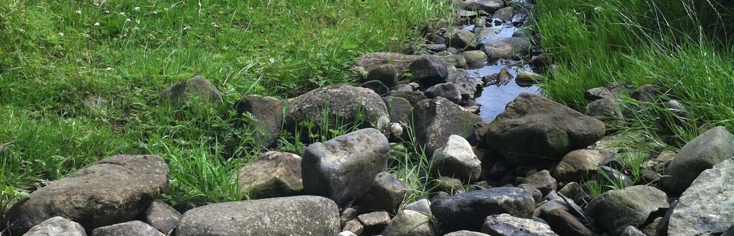 A rocky stream in a grassy field with a forest in the background.