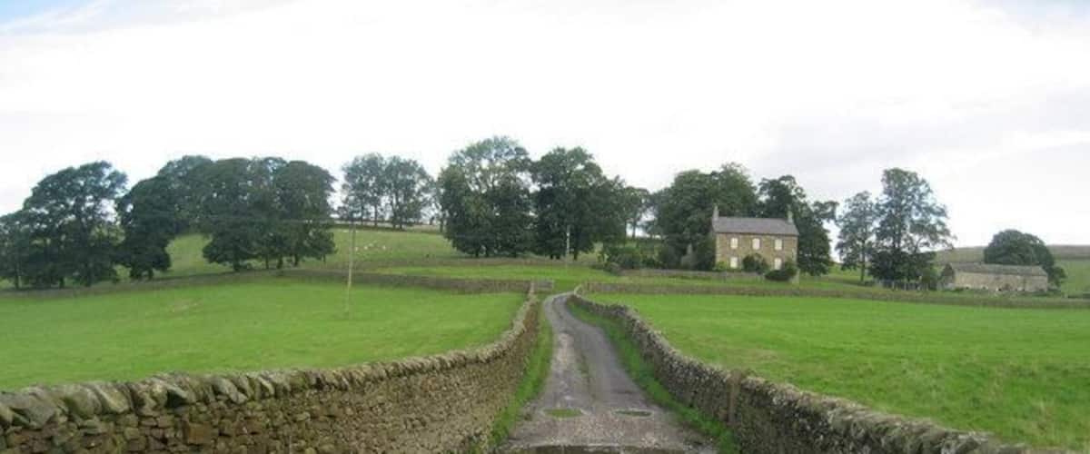 A rural landscape with a stone wall, a muddy path, and a puddle reflecting the sky.