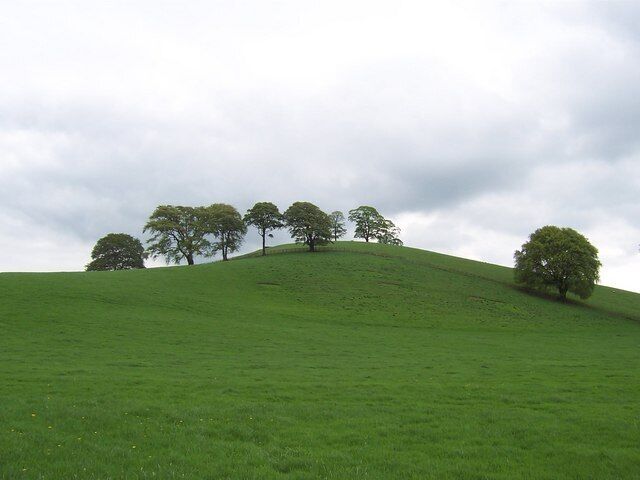 Snear Hill. Beautifully lined humpbacked green hill - rather like a sleeping camel, as viewed from near the Hellifield Peel Tower