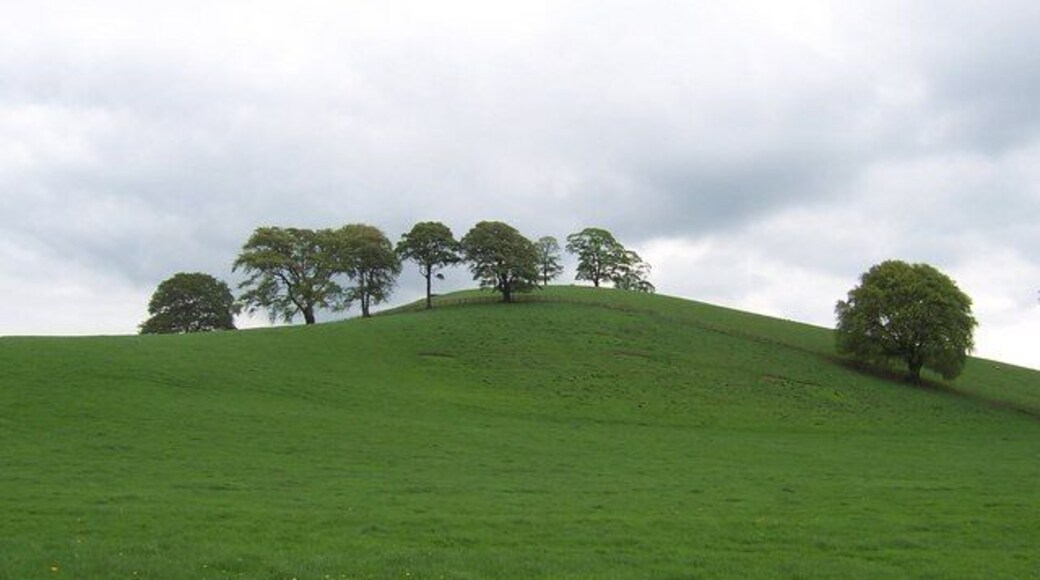 Snear Hill. Beautifully lined humpbacked green hill - rather like a sleeping camel, as viewed from near the Hellifield Peel Tower