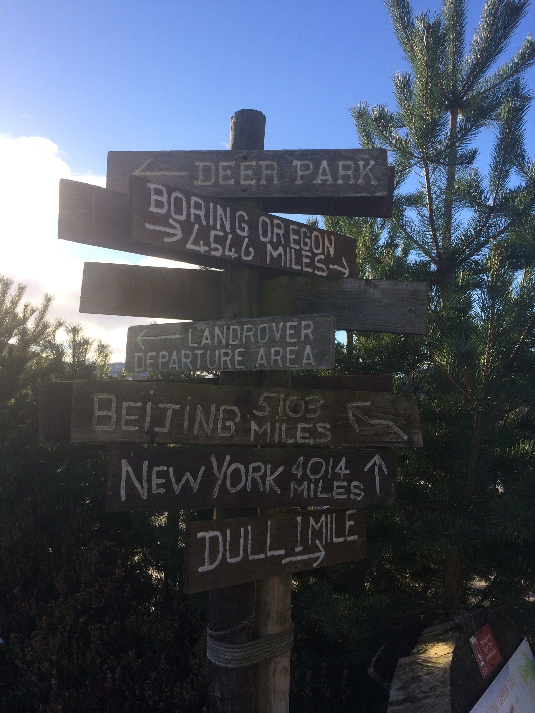 Just over 4000 to NY :-o