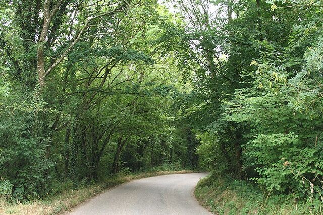 Kennerleigh: road in Kennerleigh Wood. Looking south in the Sandford direction