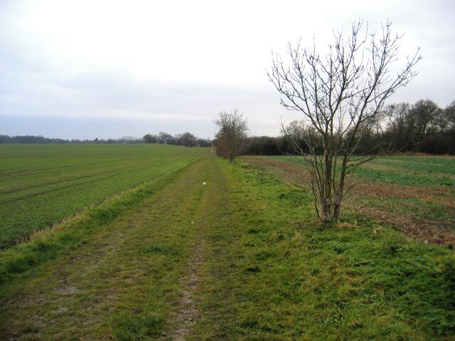Port Way bridleway S of Hardwick, Cambs. View W.