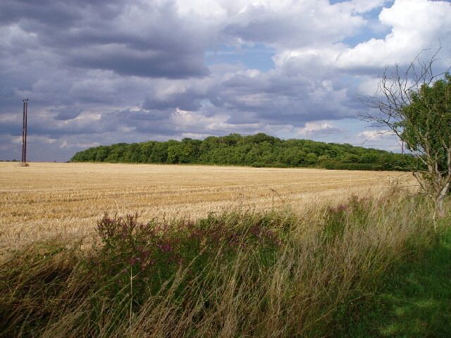 A field with a distant tree line and a tall structure.