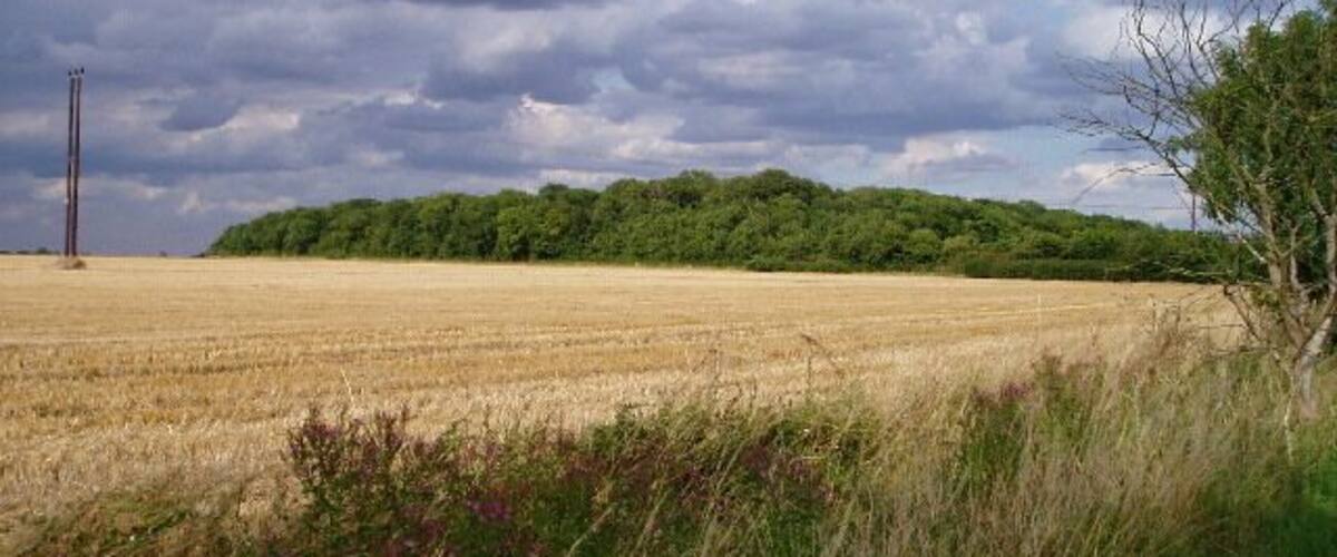 A field with a distant tree line and a tall structure.