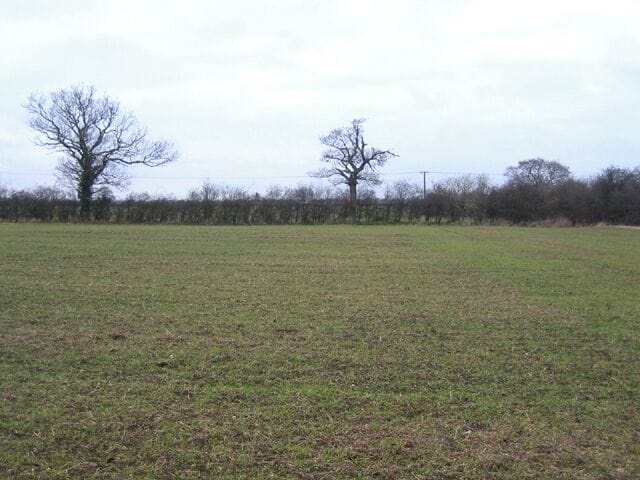 Farmland S of Hardwick, Cambs. View N along the eastern edge of the square.