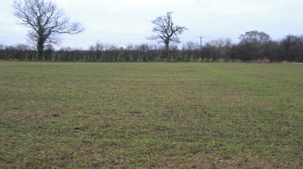 Farmland S of Hardwick, Cambs. View N along the eastern edge of the square.