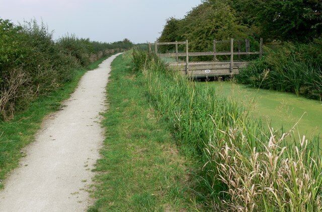 A narrow dirt path flanked by tall grass and a wooden fence.