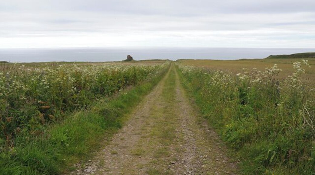 Track to Forse Castle