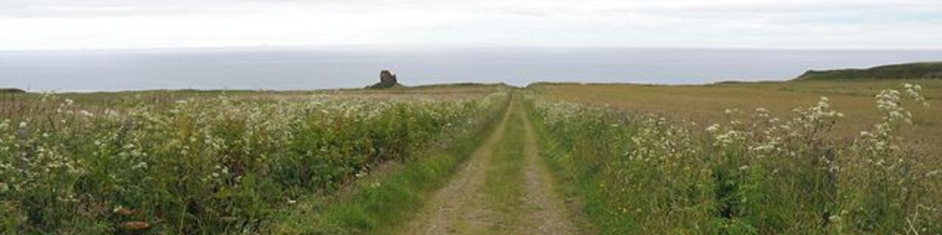 Track to Forse Castle