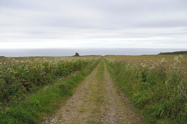 A gravel path leading through a field of wildflowers towards a distant hill.